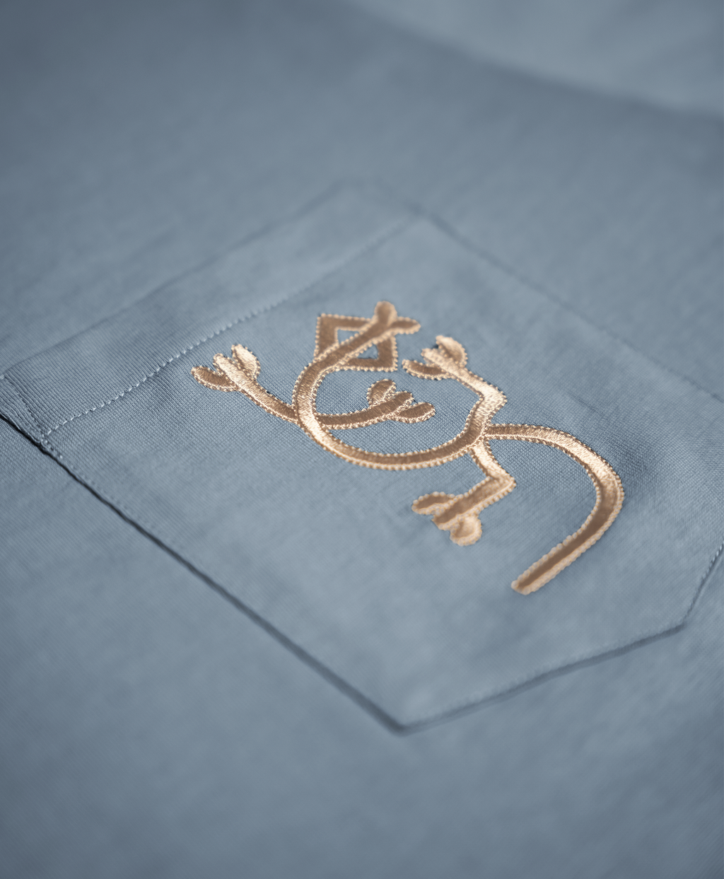 Pocket Gecko