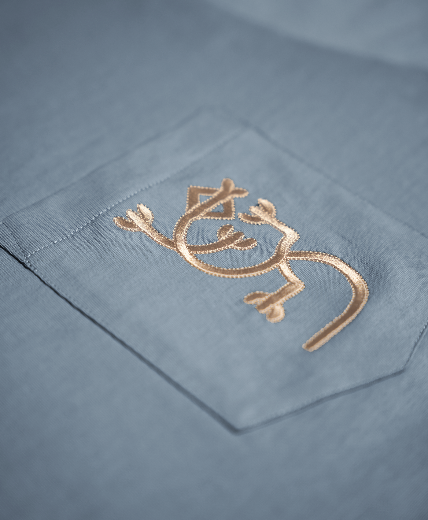 Pocket Gecko