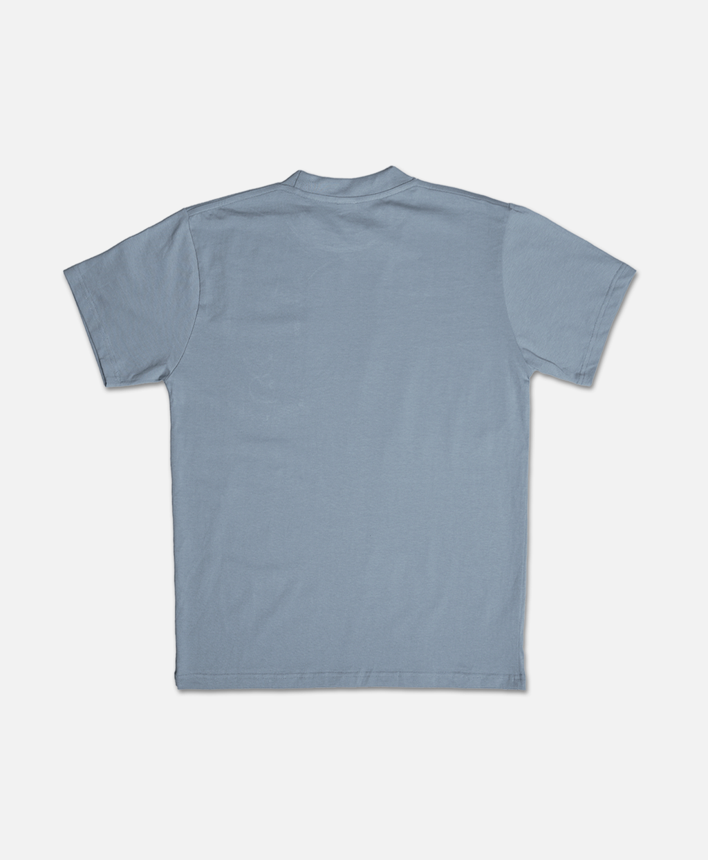 Pocket Gecko