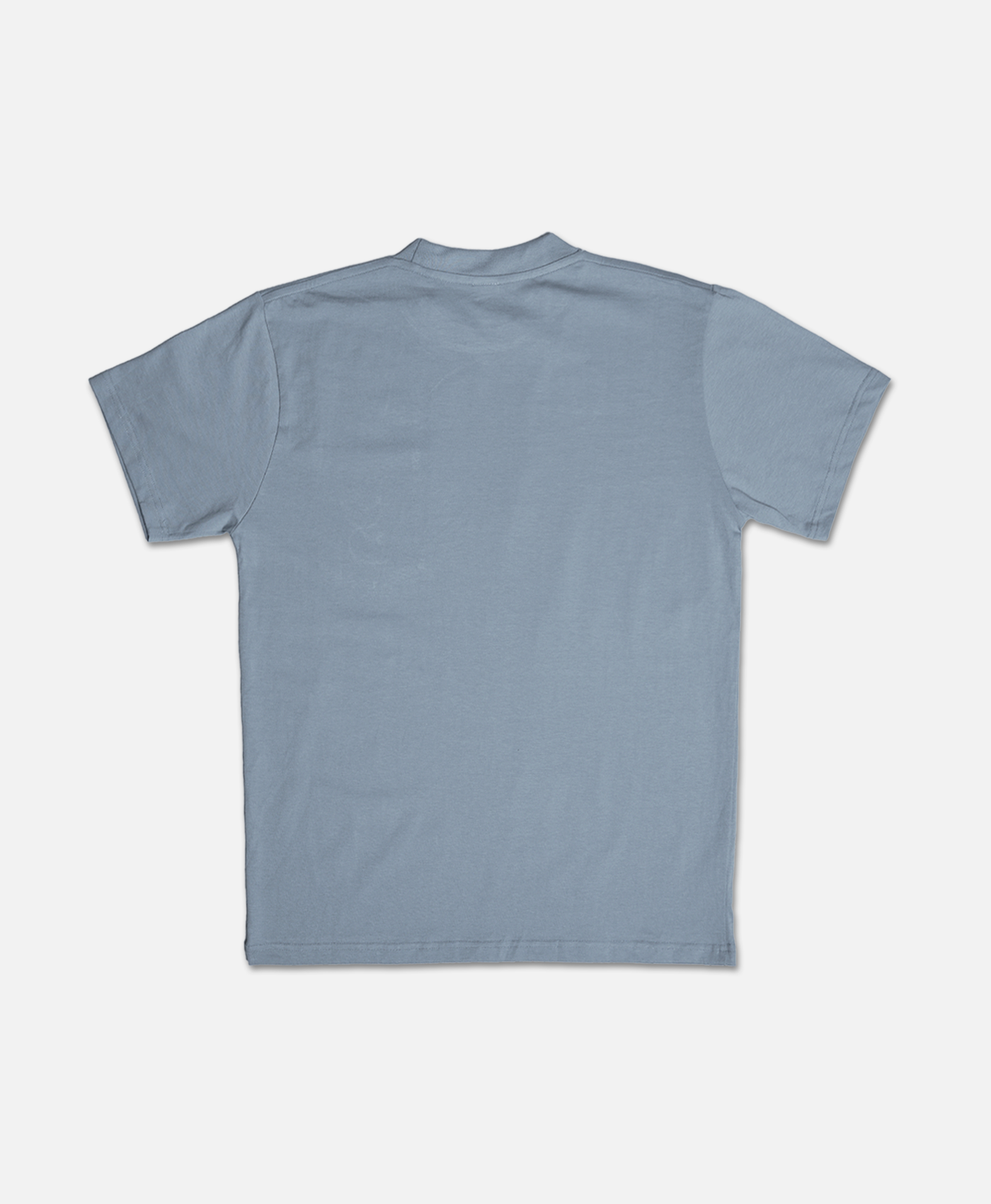 Pocket Gecko