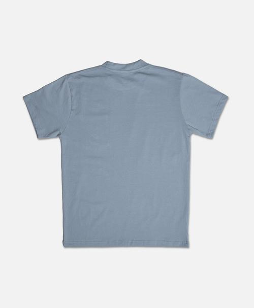 Pocket Gecko